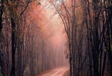 问鼎娱乐下载：[足球之夜]在讨论中统一思想.