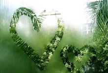 史上最强女泳手 艾玛宣布退役.